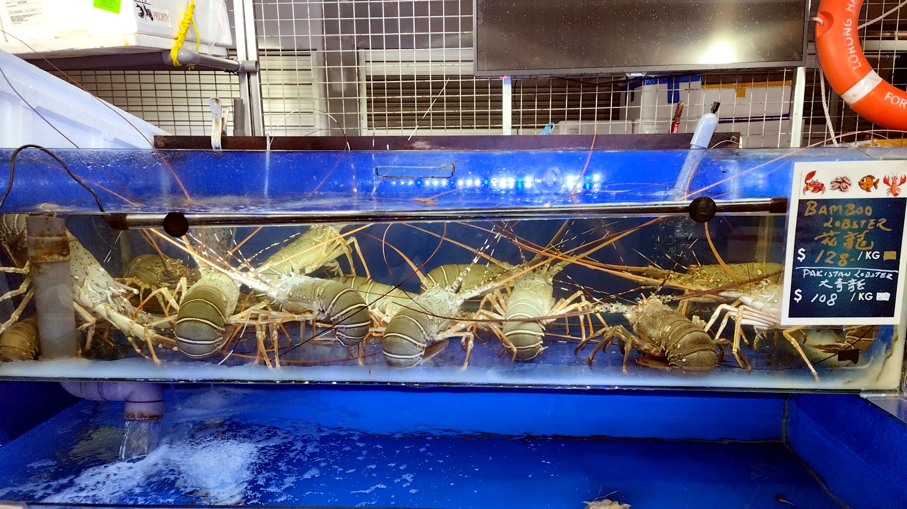 Green lobster