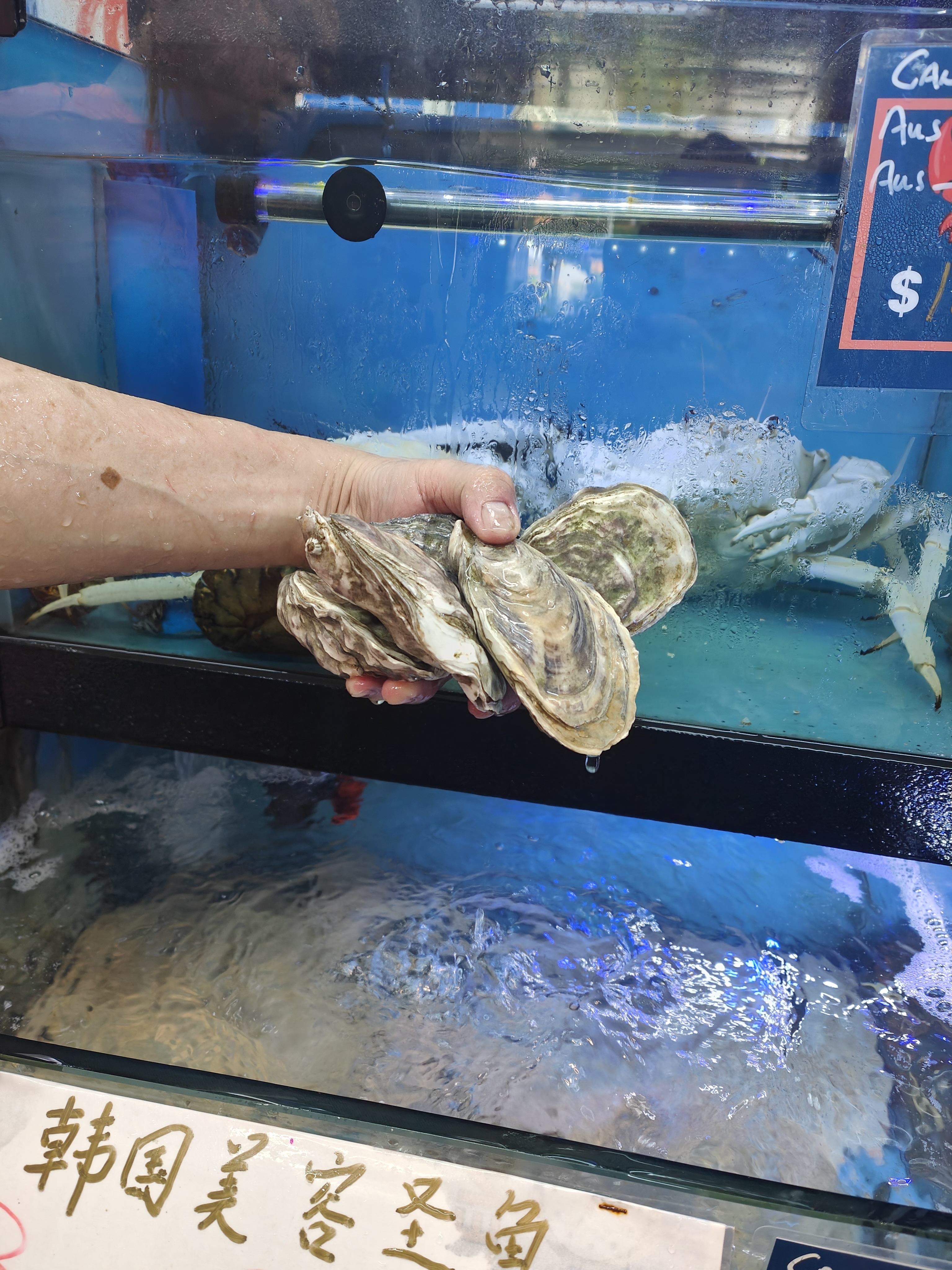 Fresh oysters at Crab Talk