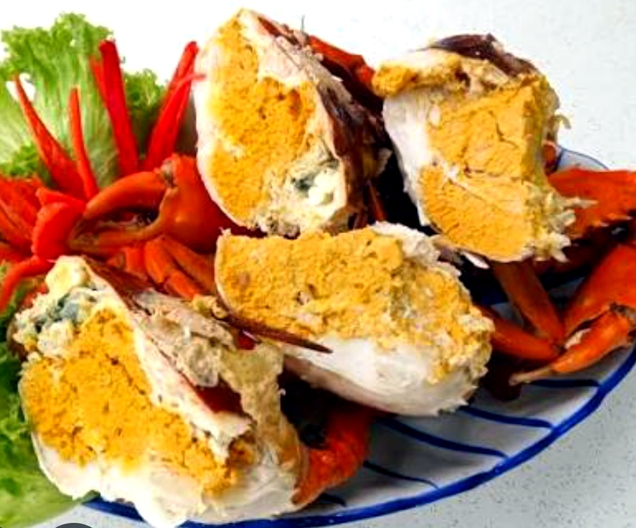 Sri Lanka yellow roe crab