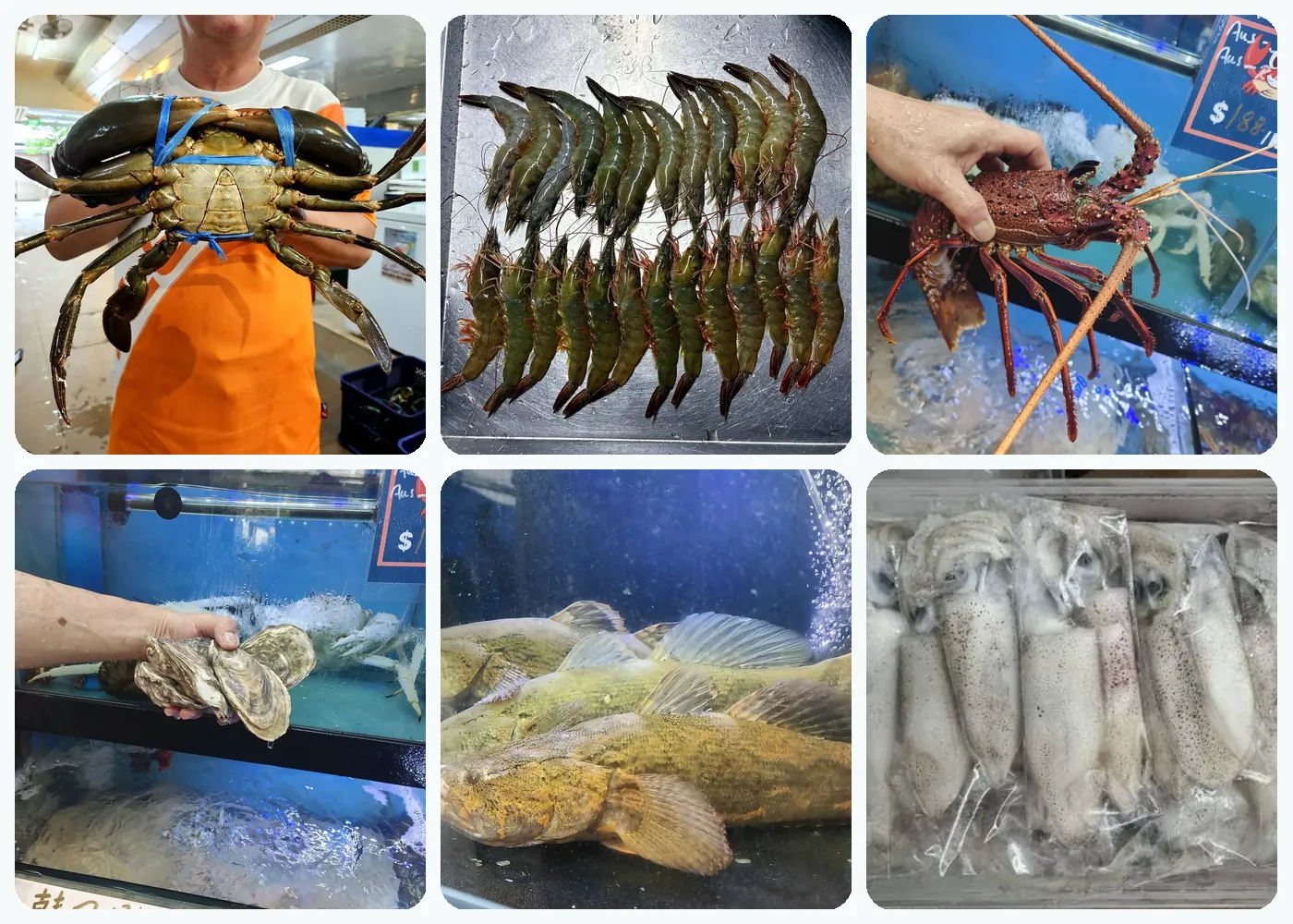 Crab Talk online seafood ordering for pickup or delivery